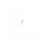 COVISUR